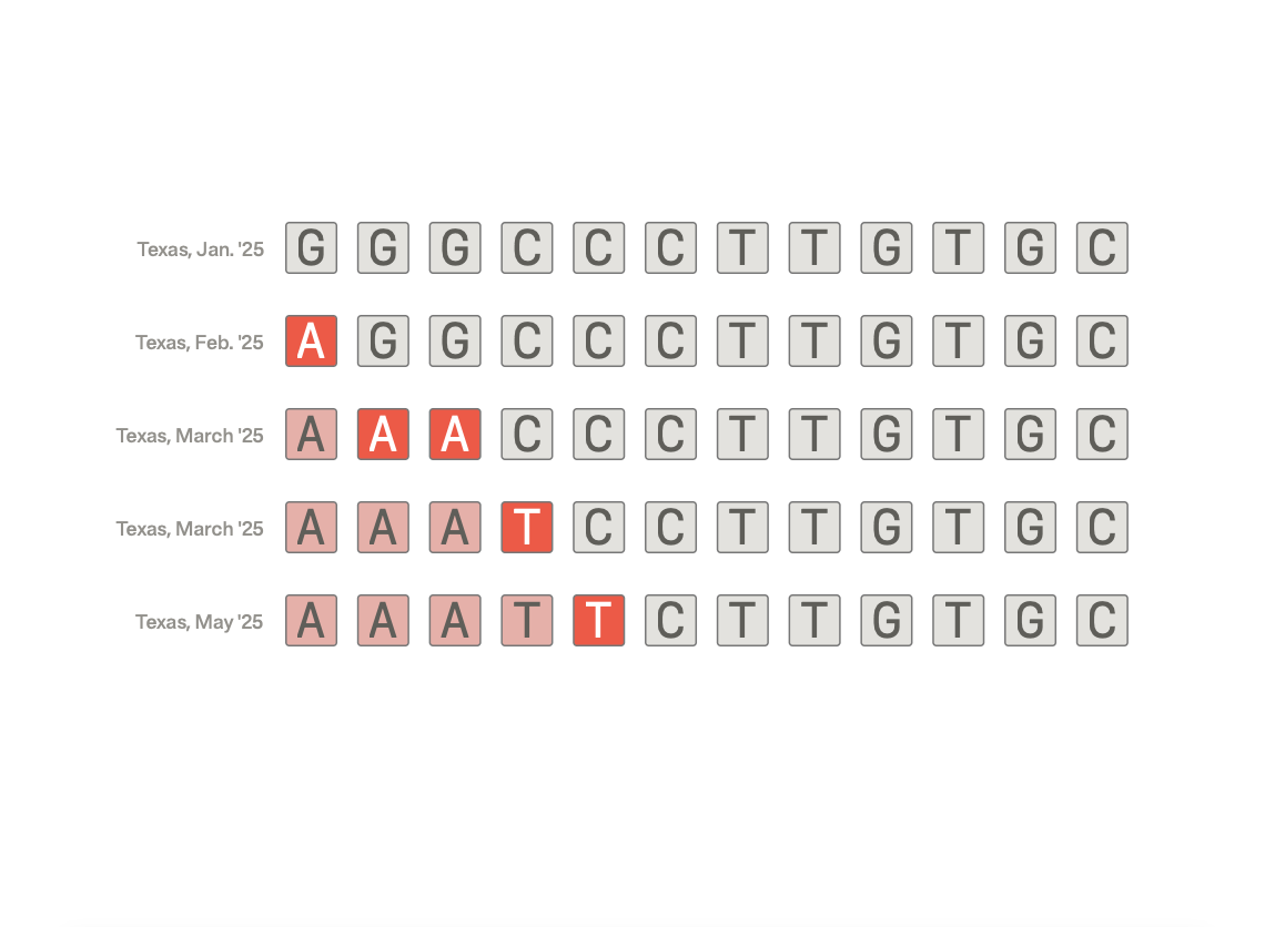 What ProPublica Found in the Genetic Code of America’s Measles Outbreaks